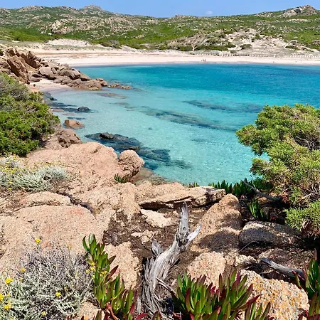 T3 4 Etoiles 4/6 Personnes Vecchio Lejlighedshotel